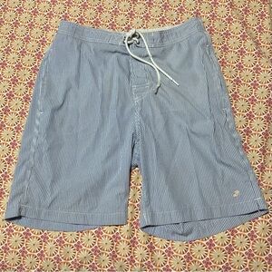 Trunks Brand Classic Blue and White Striped Swim Trunks - Small Flaws